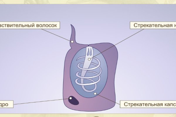 Kraken торговая площадка ссылка