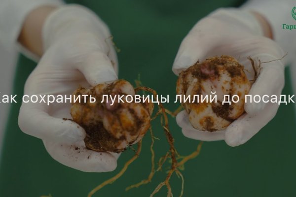 Кракен даркнет в тор