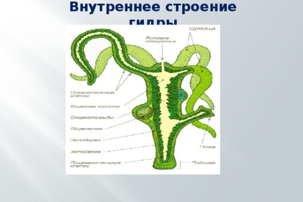 Кракен маркетплейс реклама текст